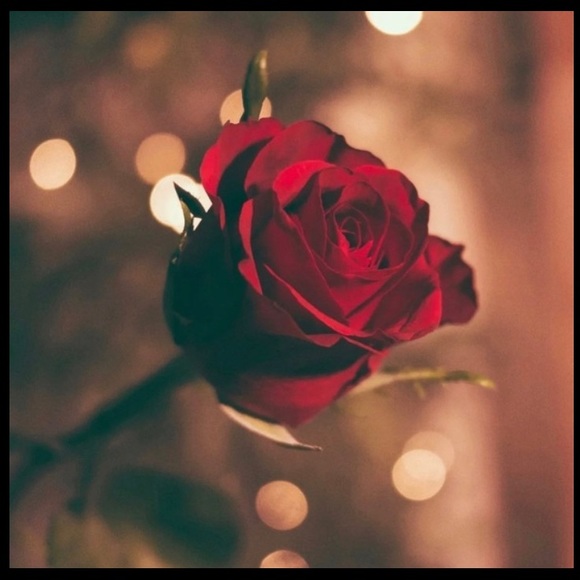 Silver HD Pendant Necklace - Picture 4 of 13